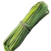 Fever Grass (Lemongrass)