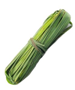 Fever Grass (Lemongrass)